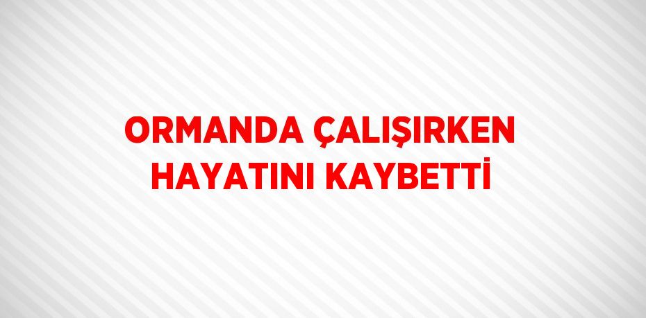 ORMANDA ÇALIŞIRKEN HAYATINI KAYBETTİ