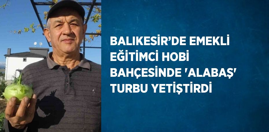 BALIKESİR’DE EMEKLİ EĞİTİMCİ HOBİ BAHÇESİNDE 'ALABAŞ' TURBU YETİŞTİRDİ