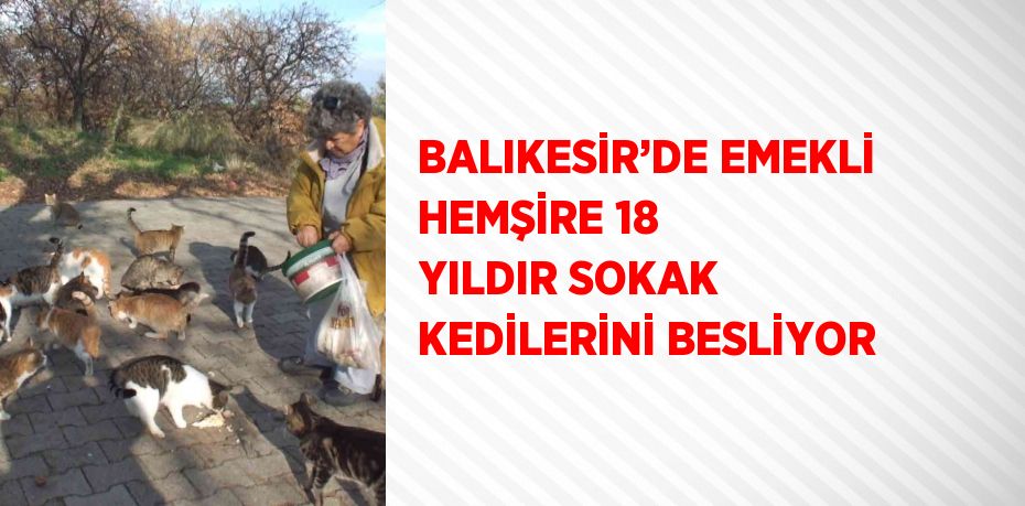 BALIKESİR’DE EMEKLİ HEMŞİRE 18 YILDIR SOKAK KEDİLERİNİ BESLİYOR