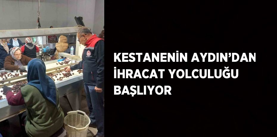 KESTANENİN AYDIN’DAN İHRACAT YOLCULUĞU BAŞLIYOR