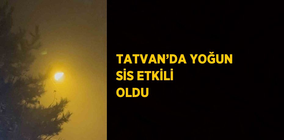 TATVAN’DA YOĞUN SİS ETKİLİ OLDU