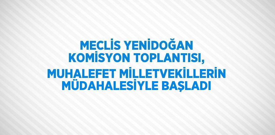 MECLİS YENİDOĞAN KOMİSYON TOPLANTISI, MUHALEFET MİLLETVEKİLLERİN MÜDAHALESİYLE BAŞLADI