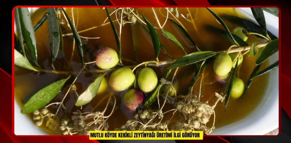 Mutlu köyde kekikli zeytinyağı üretimi ilgi görüyor  