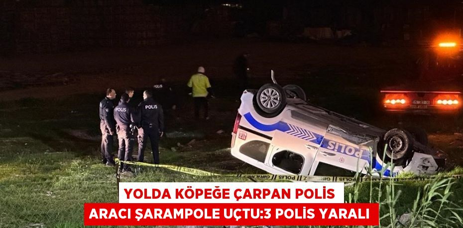 YOLDA KÖPEĞE ÇARPAN POLİS ARACI ŞARAMPOLE UÇTU:3 POLİS YARALI