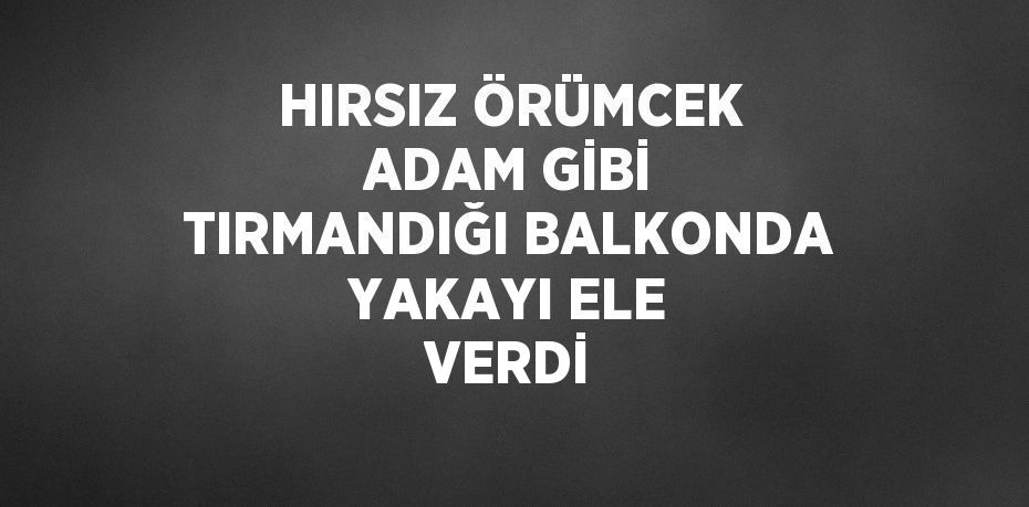 HIRSIZ ÖRÜMCEK ADAM GİBİ TIRMANDIĞI BALKONDA YAKAYI ELE VERDİ