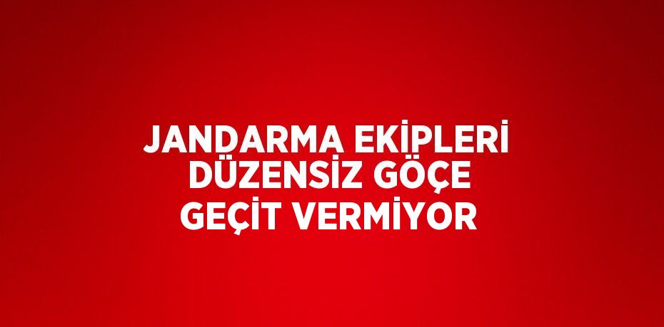 JANDARMA EKİPLERİ DÜZENSİZ GÖÇE GEÇİT VERMİYOR