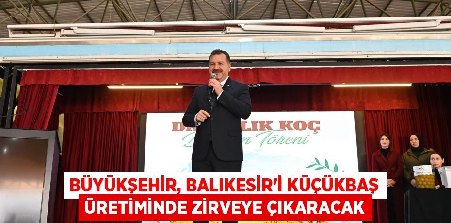 Büyükşehir, Balıkesir’i küçükbaş üretiminde zirveye çıkaracak