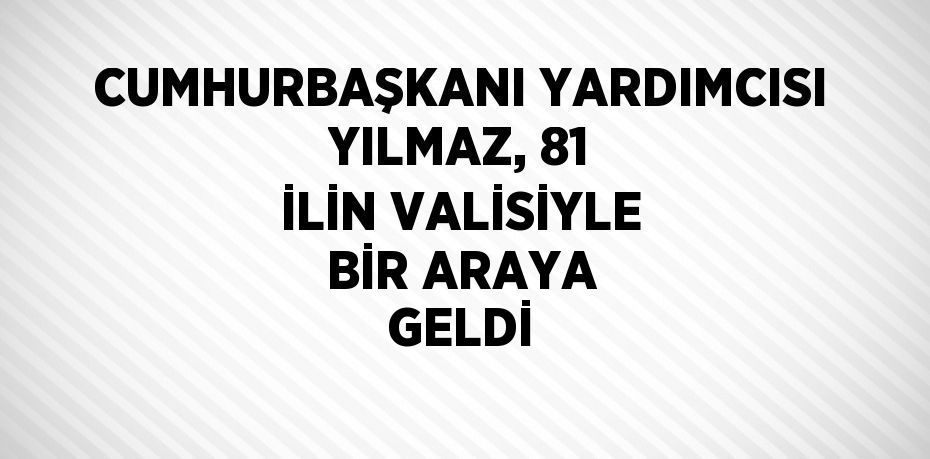 CUMHURBAŞKANI YARDIMCISI YILMAZ, 81 İLİN VALİSİYLE BİR ARAYA GELDİ