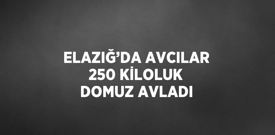 ELAZIĞ’DA AVCILAR 250 KİLOLUK DOMUZ AVLADI