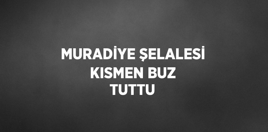 MURADİYE ŞELALESİ KISMEN BUZ TUTTU