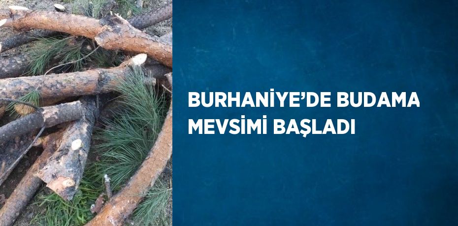 BURHANİYE’DE BUDAMA MEVSİMİ BAŞLADI