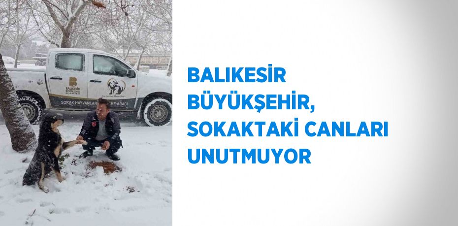 BALIKESİR BÜYÜKŞEHİR, SOKAKTAKİ CANLARI UNUTMUYOR