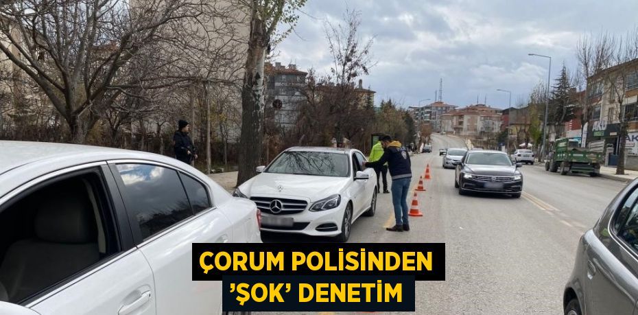 ÇORUM POLİSİNDEN ’ŞOK’ DENETİM