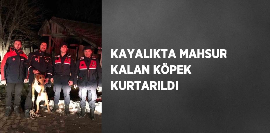 KAYALIKTA MAHSUR KALAN KÖPEK KURTARILDI