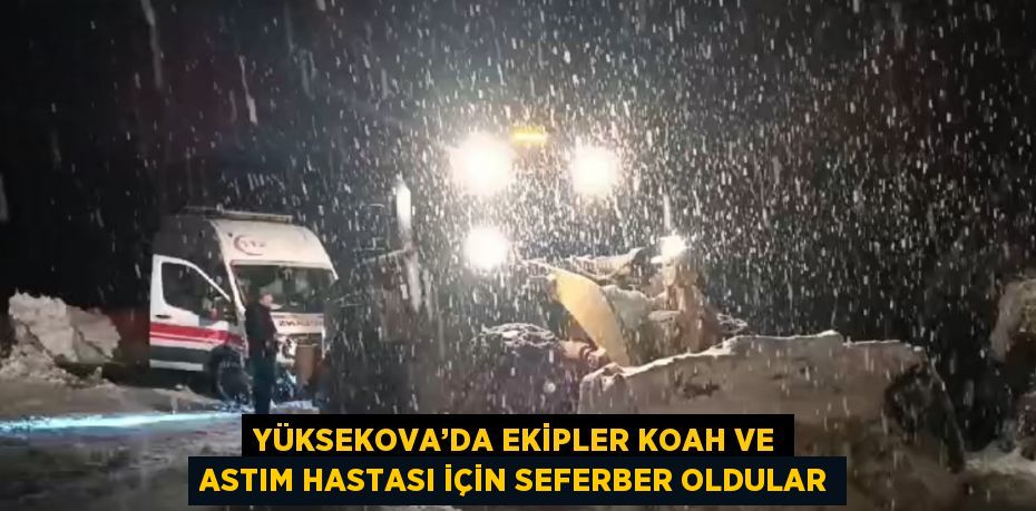 YÜKSEKOVA’DA EKİPLER KOAH VE ASTIM HASTASI İÇİN SEFERBER OLDULAR