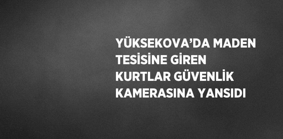 YÜKSEKOVA’DA MADEN TESİSİNE GİREN KURTLAR GÜVENLİK KAMERASINA YANSIDI