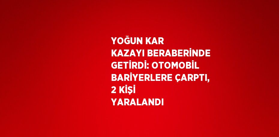 YOĞUN KAR KAZAYI BERABERİNDE GETİRDİ: OTOMOBİL BARİYERLERE ÇARPTI, 2 KİŞİ YARALANDI