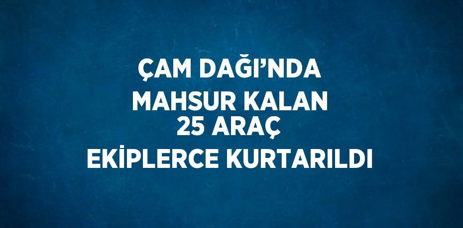 ÇAM DAĞI’NDA MAHSUR KALAN 25 ARAÇ EKİPLERCE KURTARILDI