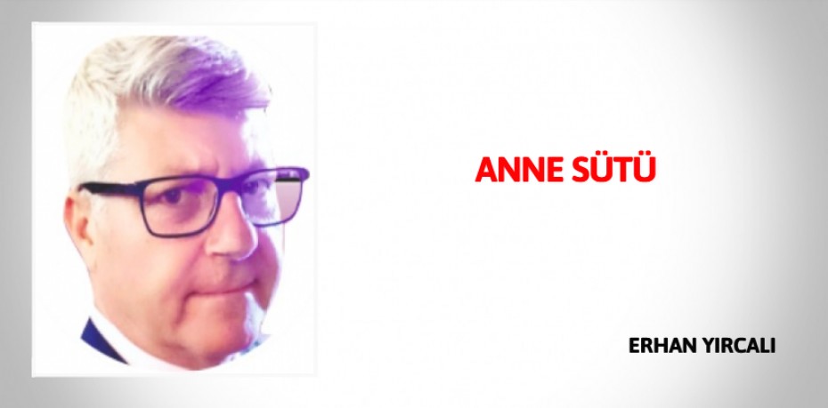 ANNE SÜTÜ