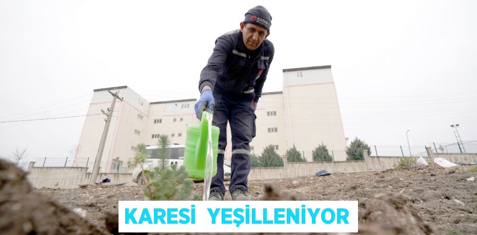KARESİ  YEŞİLLENİYOR