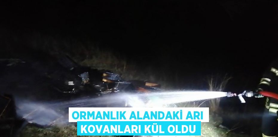 ORMANLIK ALANDAKİ ARI KOVANLARI KÜL OLDU