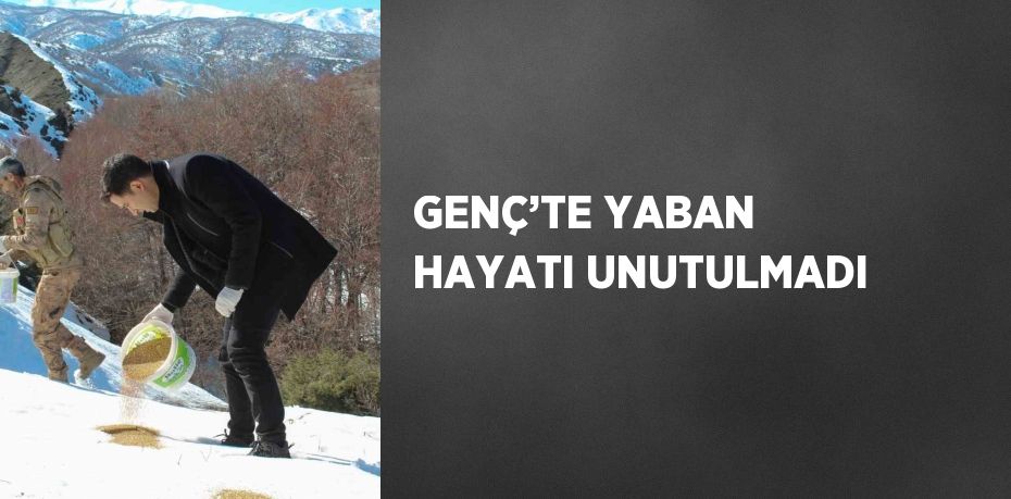 GENÇ’TE YABAN HAYATI UNUTULMADI