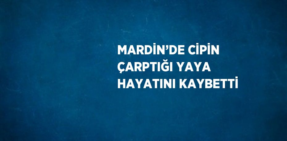 MARDİN’DE CİPİN ÇARPTIĞI YAYA HAYATINI KAYBETTİ