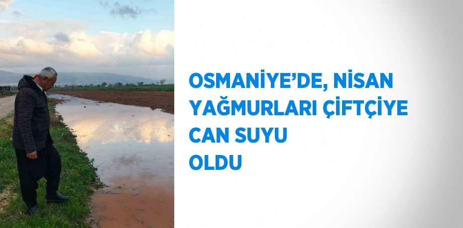 OSMANİYE’DE, NİSAN YAĞMURLARI ÇİFTÇİYE CAN SUYU OLDU