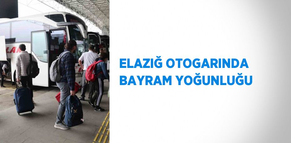 ELAZIĞ OTOGARINDA BAYRAM YOĞUNLUĞU