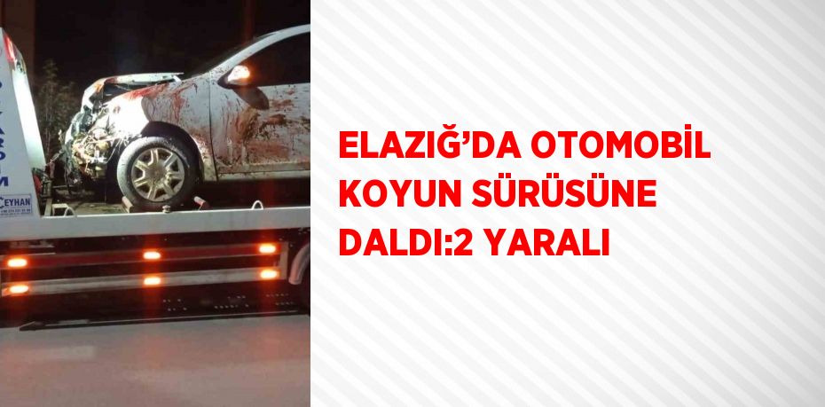 ELAZIĞ’DA OTOMOBİL KOYUN SÜRÜSÜNE DALDI:2 YARALI