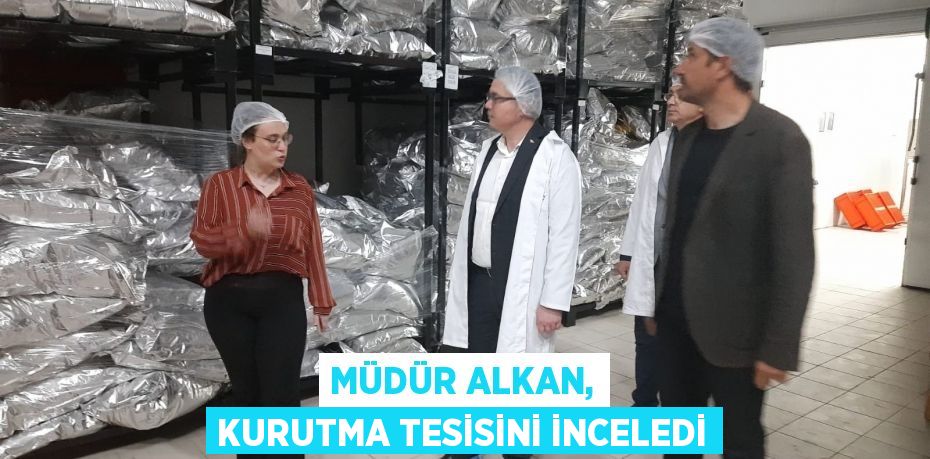 Müdür Alkan, kurutma tesisini inceledi