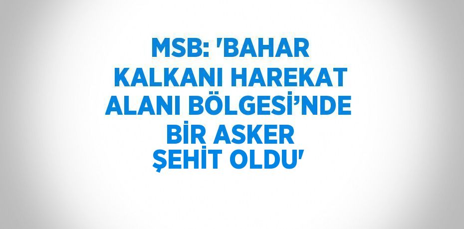 MSB: 'BAHAR KALKANI HAREKAT ALANI BÖLGESİ’NDE BİR ASKER ŞEHİT OLDU'