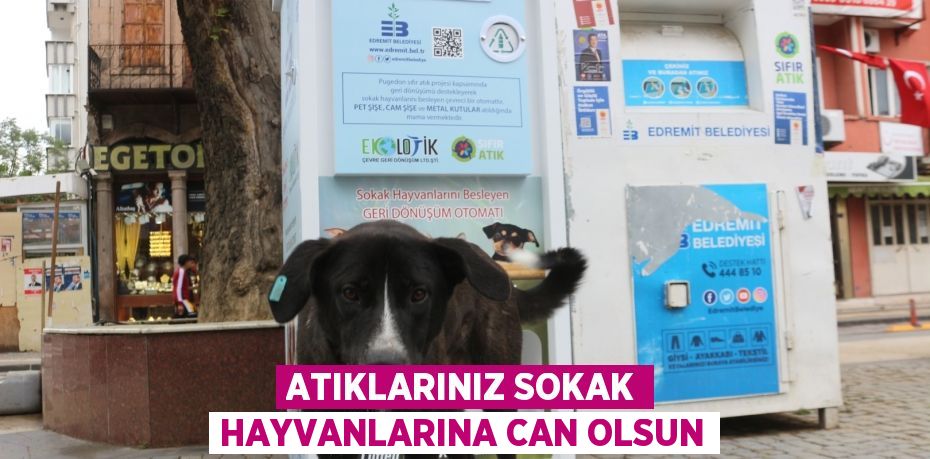 ATIKLARINIZ SOKAK HAYVANLARINA CAN OLSUN