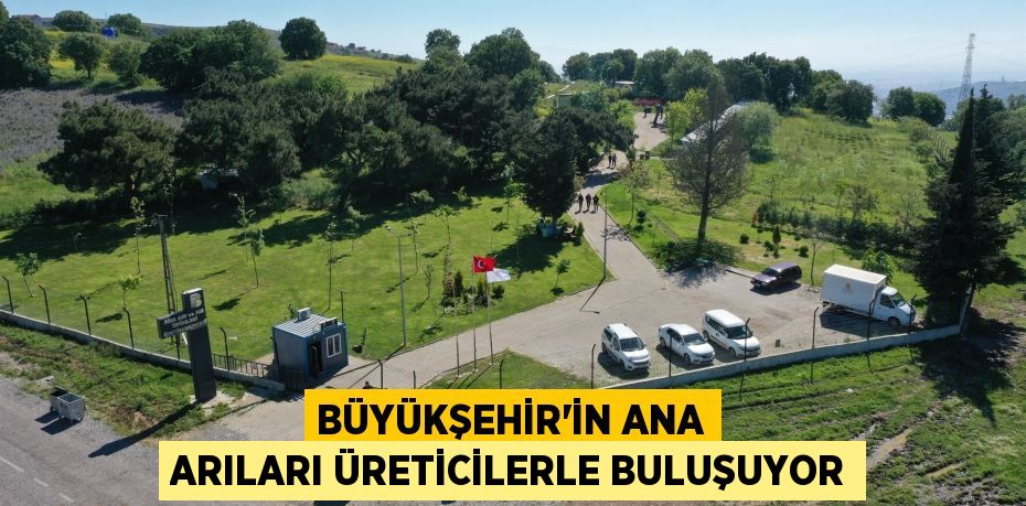 Büyükşehir’in ana arıları üreticilerle buluşuyor