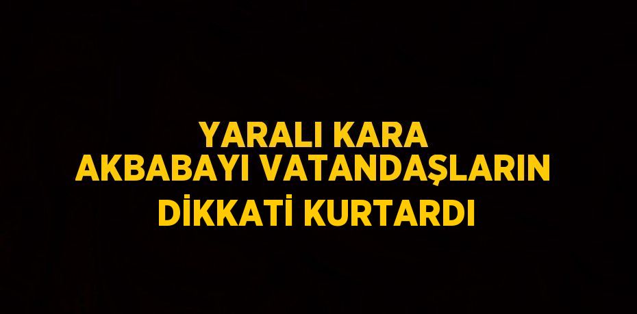 YARALI KARA AKBABAYI VATANDAŞLARIN DİKKATİ KURTARDI