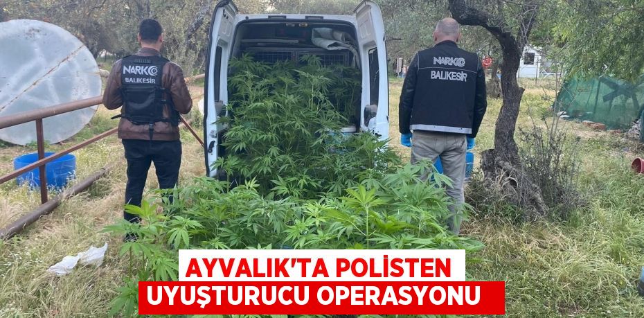 Ayvalık’ta polisten uyuşturucu operasyonu  