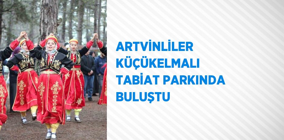 ARTVİNLİLER KÜÇÜKELMALI TABİAT PARKINDA BULUŞTU