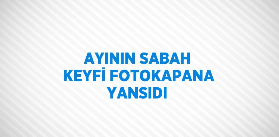 AYININ SABAH KEYFİ FOTOKAPANA YANSIDI