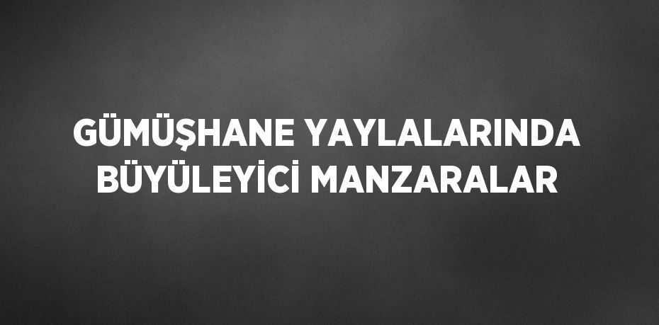 GÜMÜŞHANE YAYLALARINDA BÜYÜLEYİCİ MANZARALAR