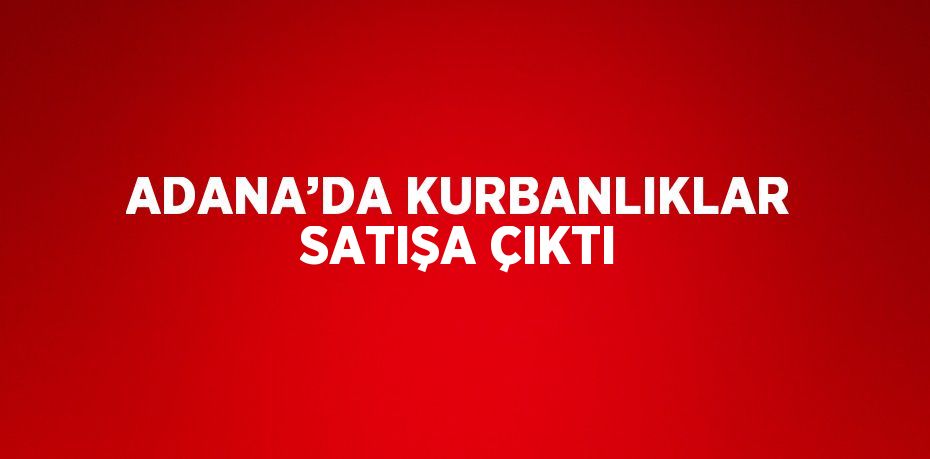 ADANA’DA KURBANLIKLAR SATIŞA ÇIKTI