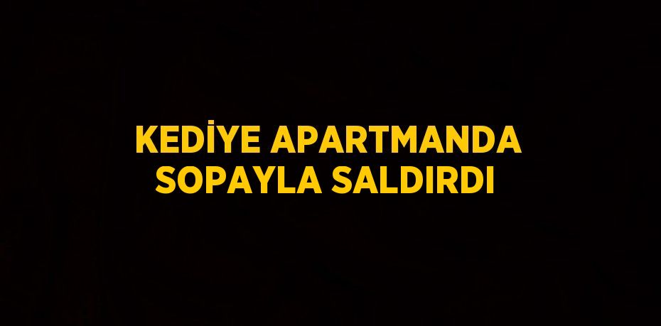 KEDİYE APARTMANDA SOPAYLA SALDIRDI