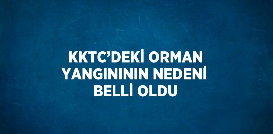 KKTC’DEKİ ORMAN YANGINININ NEDENİ BELLİ OLDU