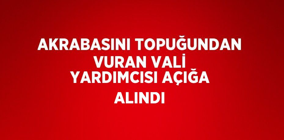 AKRABASINI TOPUĞUNDAN VURAN VALİ YARDIMCISI AÇIĞA ALINDI