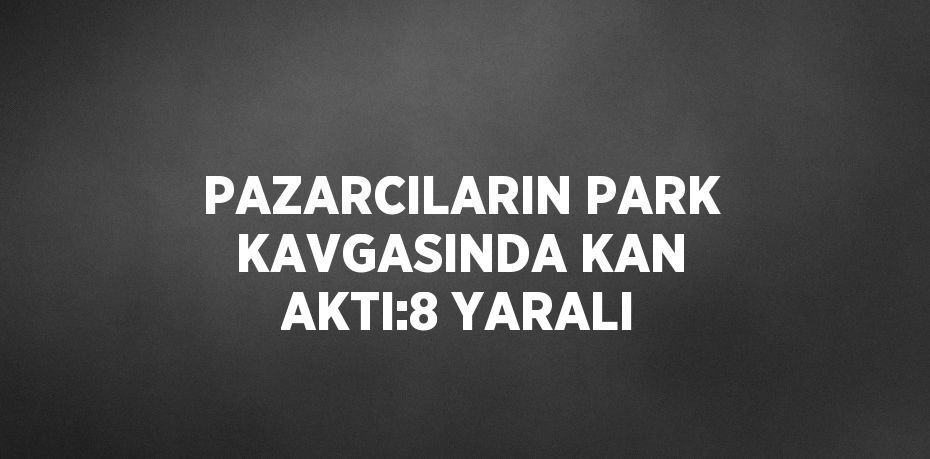 PAZARCILARIN PARK KAVGASINDA KAN AKTI:8 YARALI