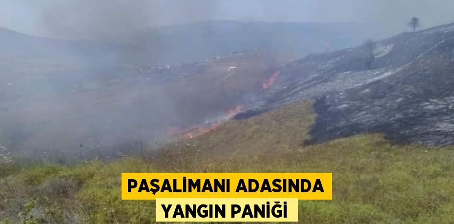 Paşalimanı adasında yangın paniği