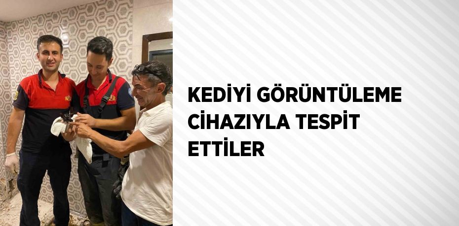 KEDİYİ GÖRÜNTÜLEME CİHAZIYLA TESPİT ETTİLER