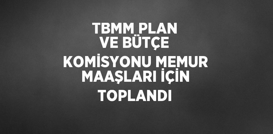 TBMM PLAN VE BÜTÇE KOMİSYONU MEMUR MAAŞLARI İÇİN TOPLANDI