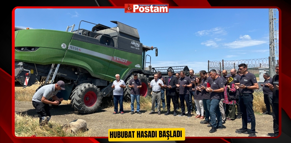 Hububat hasadı başladı 