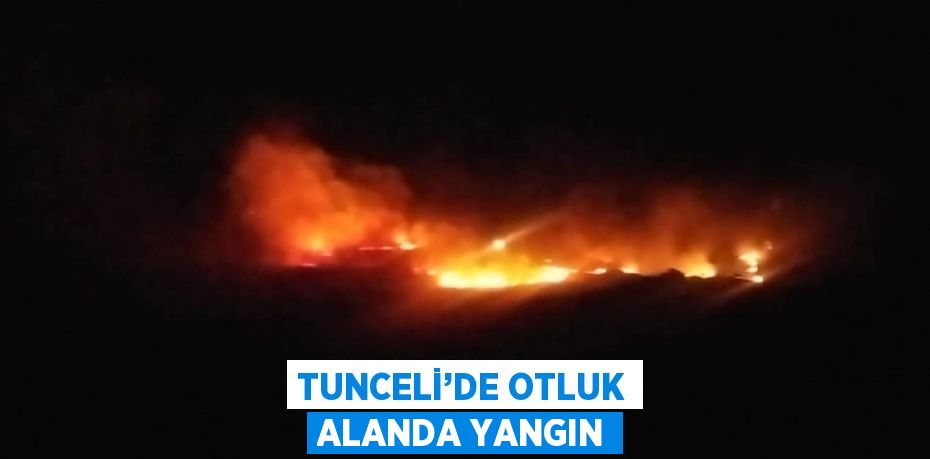 TUNCELİ’DE OTLUK ALANDA YANGIN