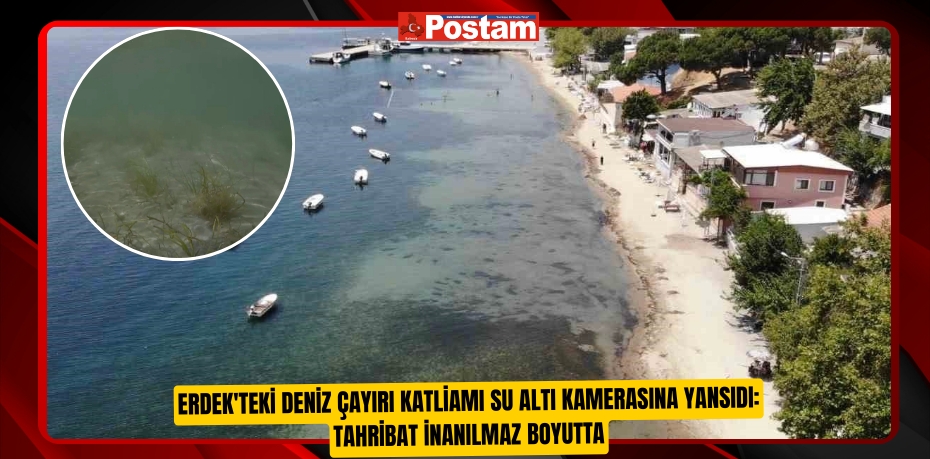 Erdek'teki deniz çayırı katliamı su altı kamerasına yansıdı: Tahribat inanılmaz boyutta